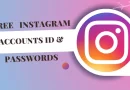 free Instagram accounts